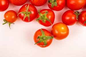 free-photo-of-tomatoes-on-white-background.jpeg