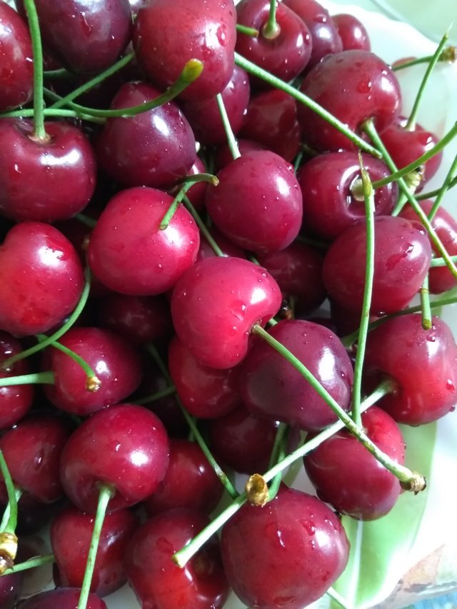 Cherries 2.jpg