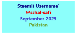 Steeemit Card Eshal.png
