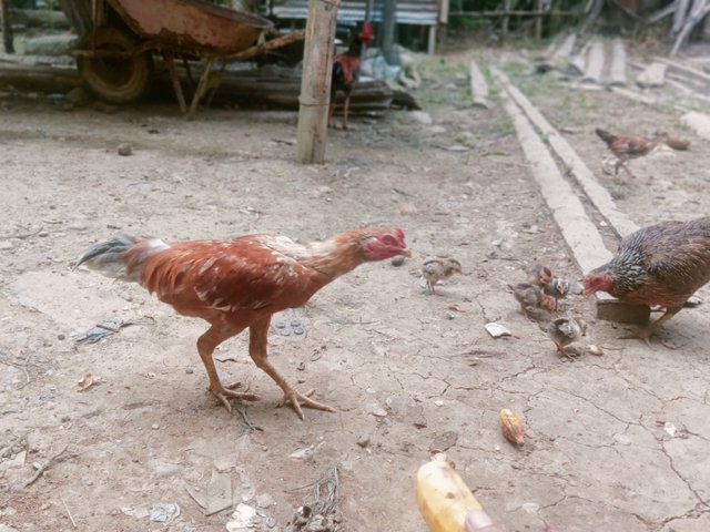 IMG20250603101151.jpg