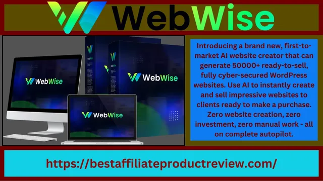WebWise Review.webp
