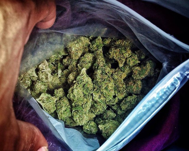 weed-marijuana.jpg