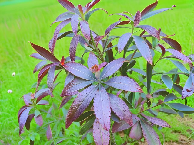 20230618_172717.jpg