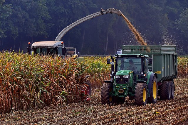corn-harvest-5596982_1280.jpg