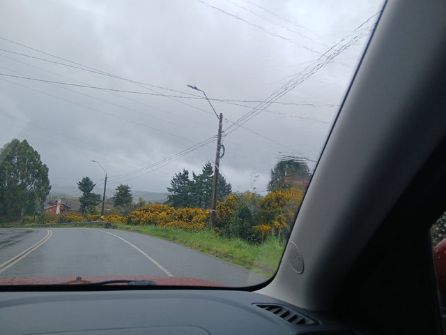 20250909_120222.jpg