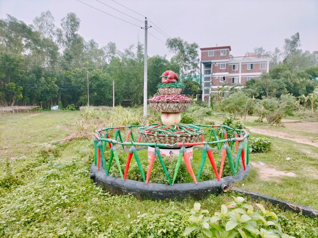 IMG20240530113343.jpg