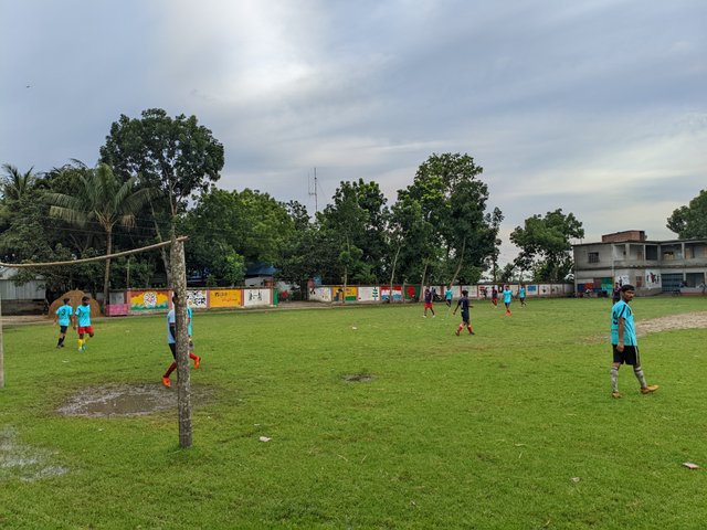 1000033076.jpg