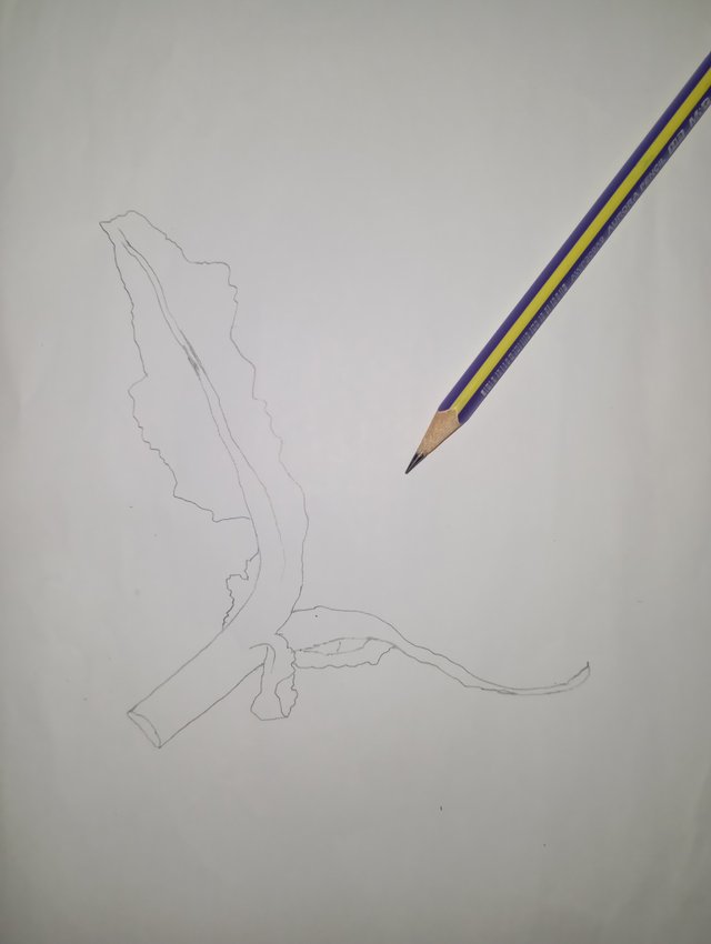 1000039585.jpg