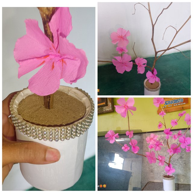 photocollage_2025313161648721.jpg