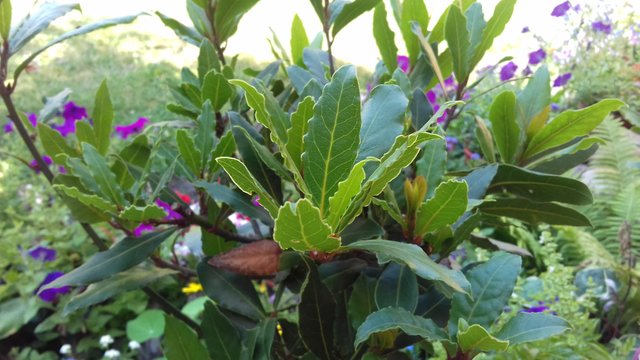 20180712_150240.jpg