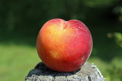 peach-4340163__340.jpg