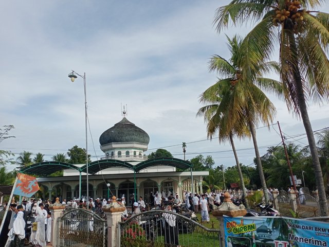 IMG20250606082817.jpg