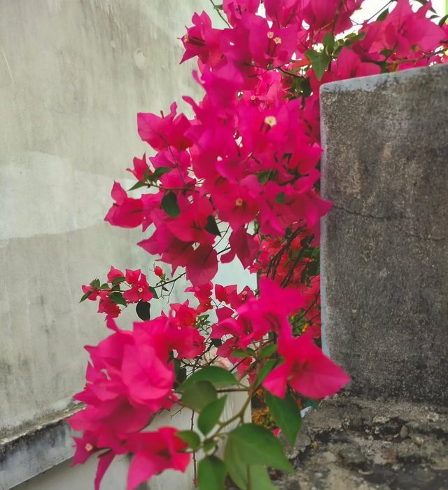 IMG_20250808_212734.jpg