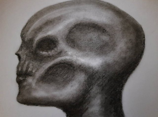 20250928_094408.jpg
