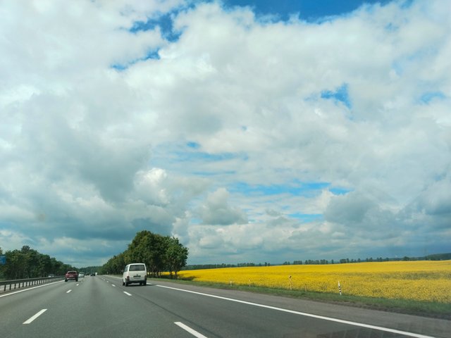 IMG_20250531_112605.jpg