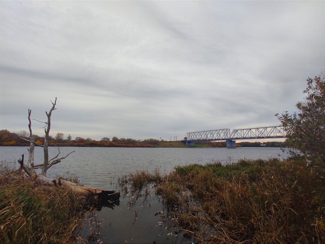 photo1635168574 (2).jpeg