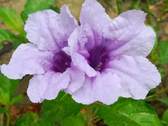 IMG_20250909_192348.jpg