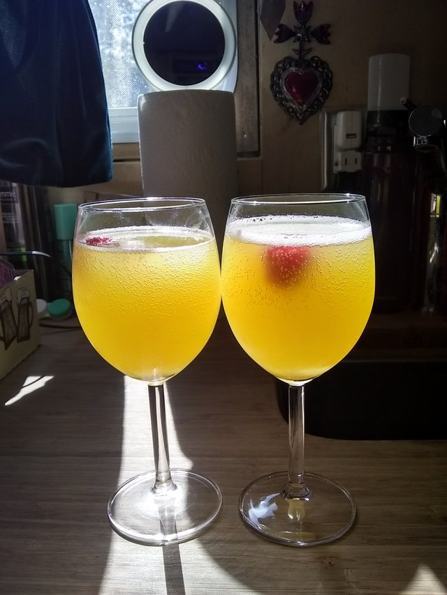 Mimosas.jpg