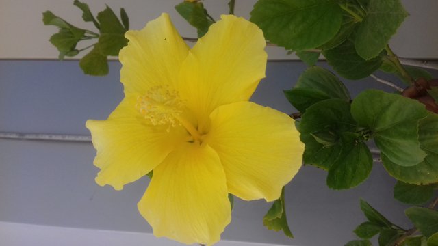 20190726_153207.jpg