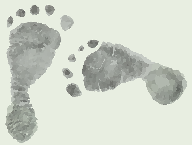 footprints-303798_640.png