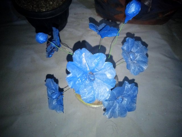 IMG20250730200855.jpg