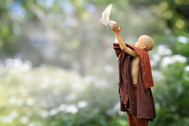 buddhist-5843719_1280.jpg