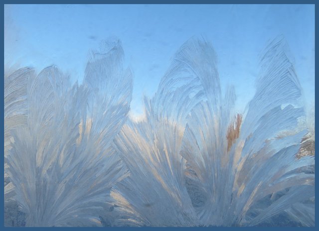 feathery jack frost on the window pane.JPG