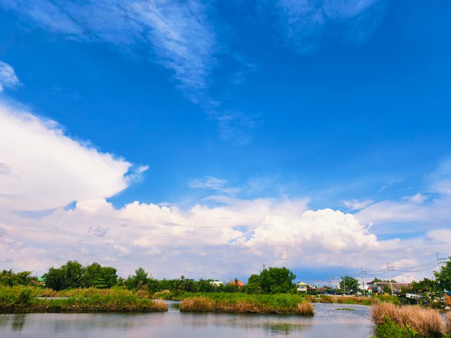 IMG_20250816_093000.jpg