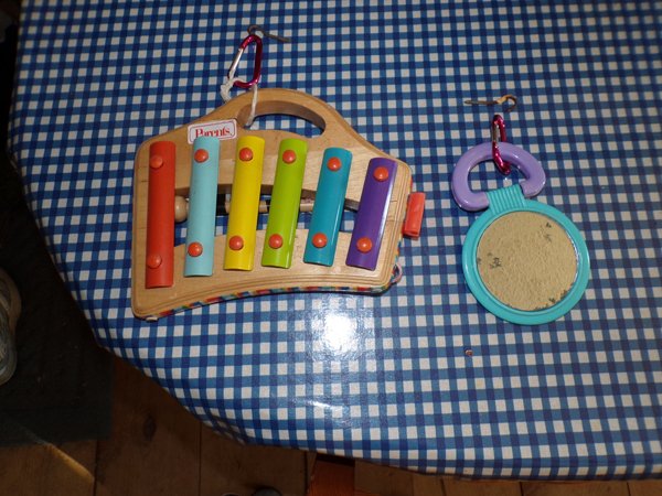 Chicken toys - xylophone and mirror crop January 2020.jpg