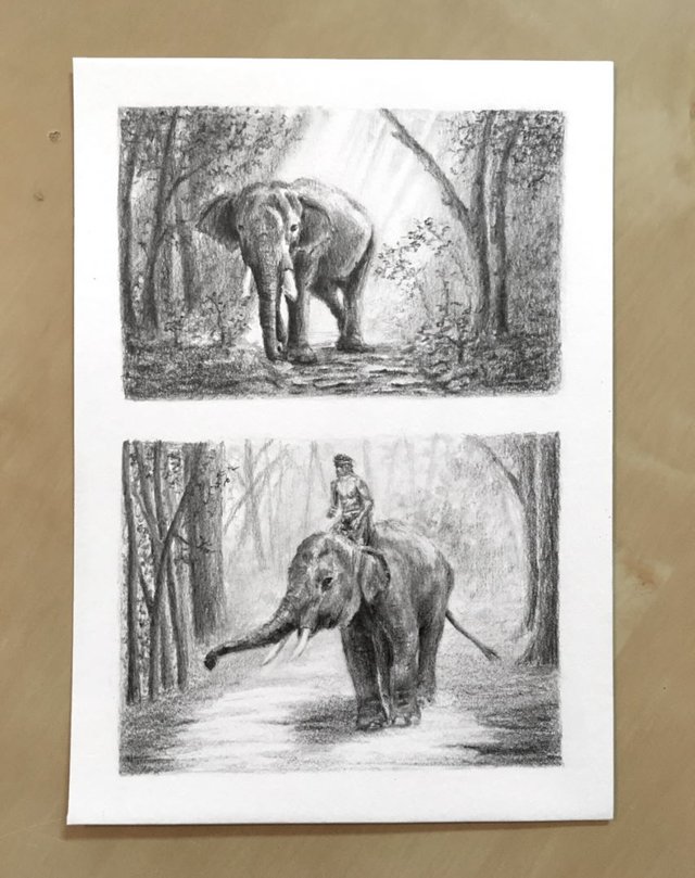 elephant-drawings.jpg