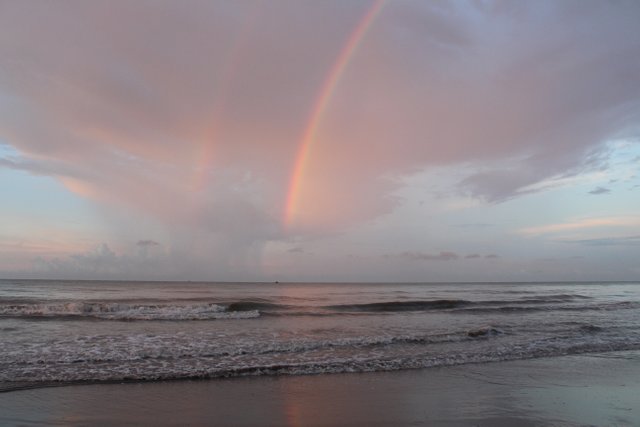 IMG_5533.JPG