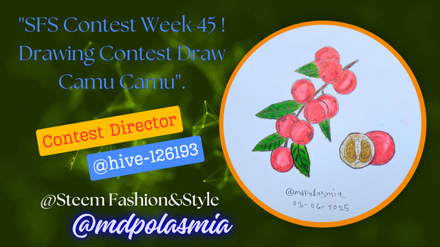 SFS Contest Week 39 ! Drawing Contest Draw Blueberry''._20250603_115401_0000.png