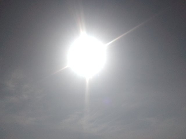 IMG_20250619_085542_751.jpg
