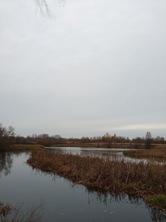 IMG_20211021_103021.jpg