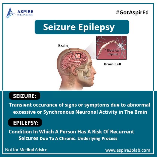 Seizure Epilepsy.jpg