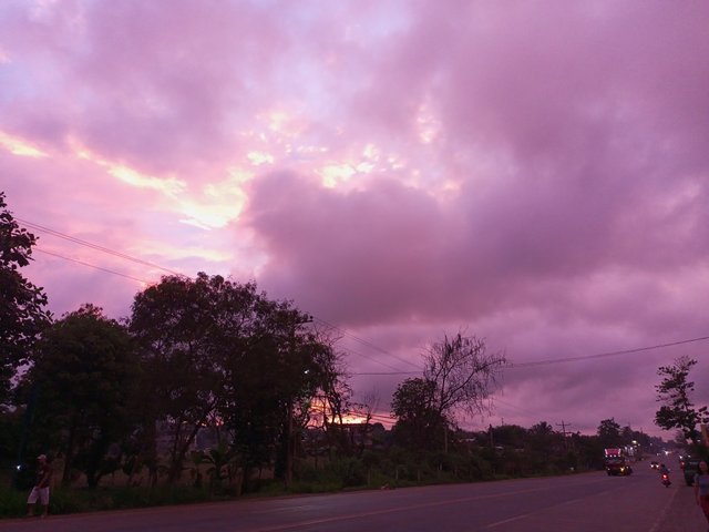 IMG_20230316_175537_243.jpg