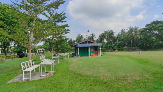 IMG_20250620_101218.jpg