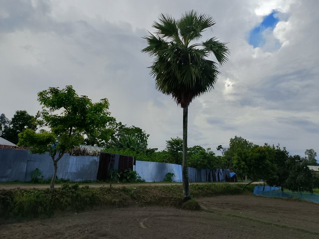 1000044334.jpg
