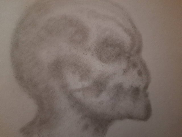 20250513_105912.jpg