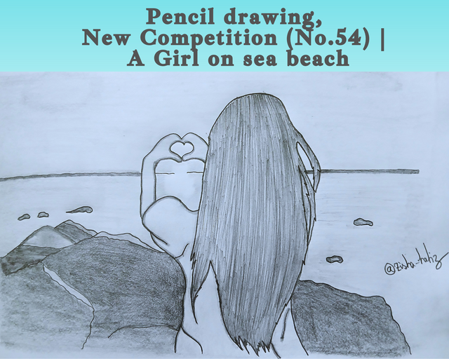 Pencil drawing, New Competition (No.54)  A Girl on sea beach.png