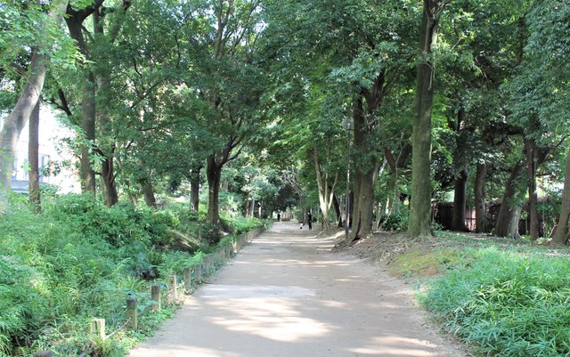 玉川上水散歩道01.JPG