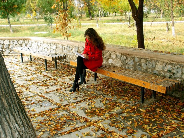 brooding-996477_1280.jpg