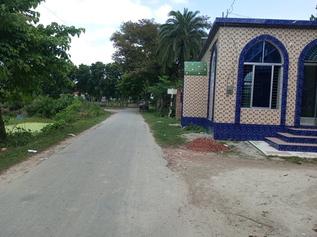 IMG_20240910_122525_497.jpg