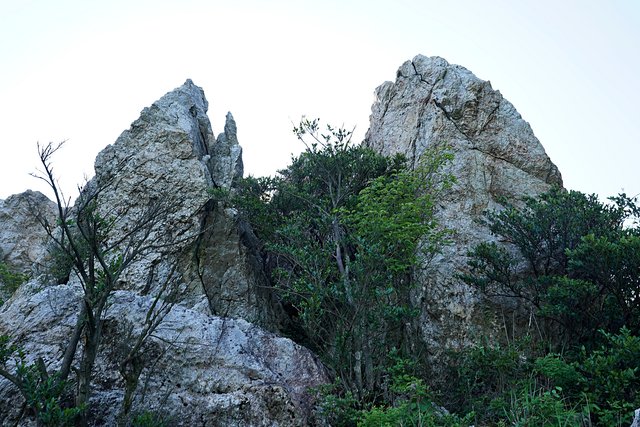 b-DSC08372.JPG