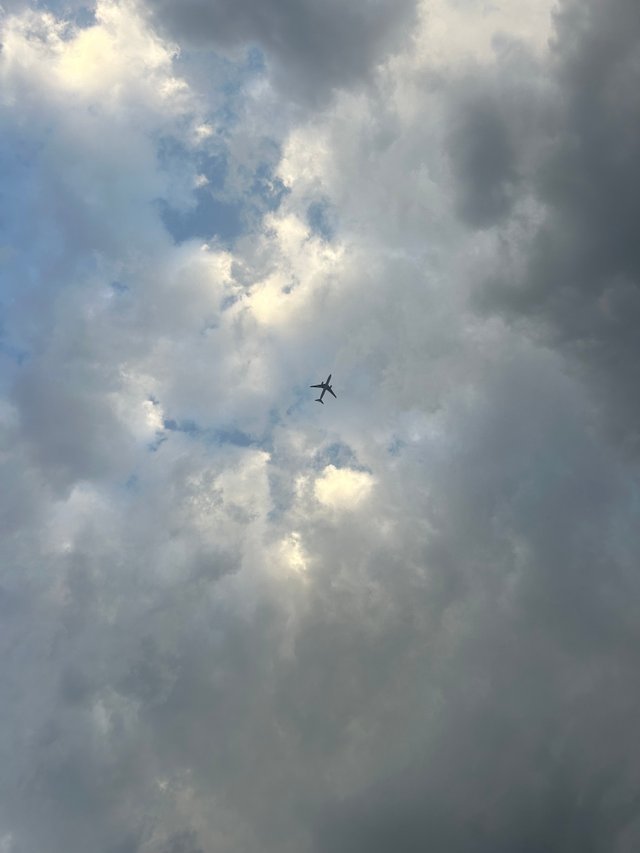 IMG_3449.jpeg
