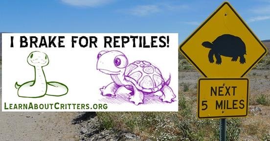 i break for reptiles bumper sticker.jpg