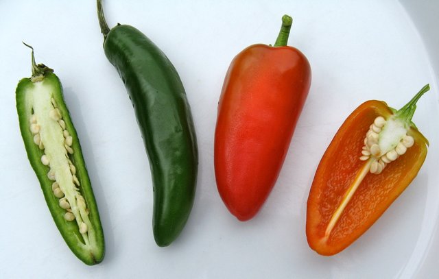 Fresno_pepper_5.jpg