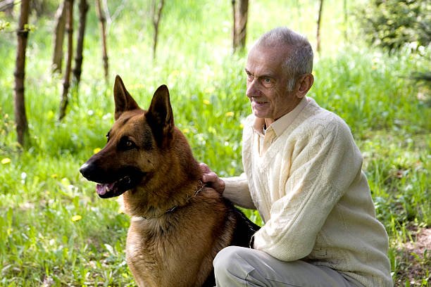 istockphoto-93061377-612x612.jpg