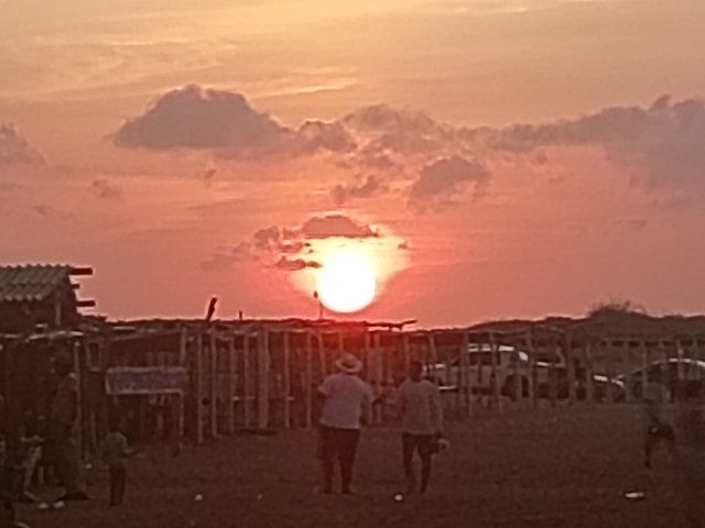 1000525029.jpg