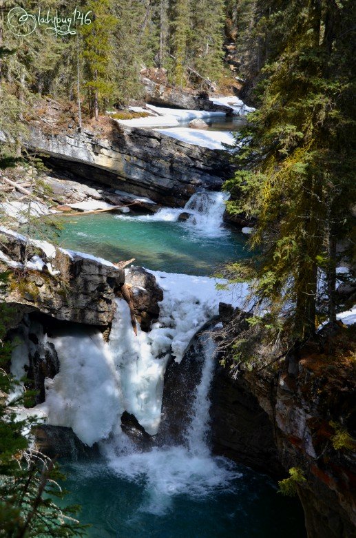 johnston_Canyon9.jpg